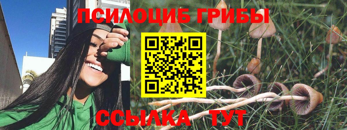 Галлюциногенные грибы прущие грибы  как найти   Выкса  Псилоцибиновые грибы Psilocybine cubensis  Вход с VPN 
