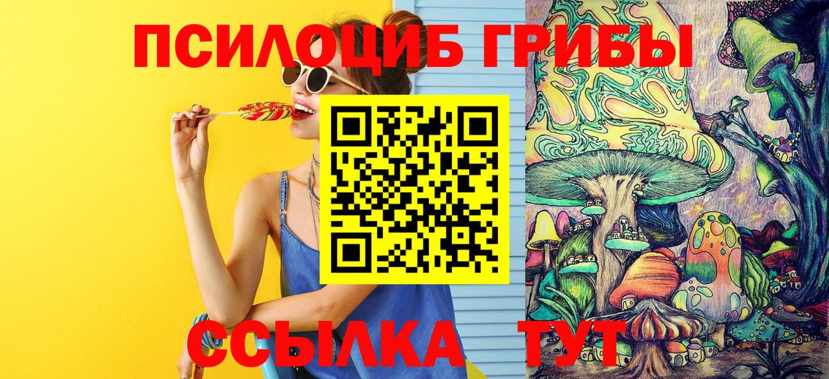 Псилоцибиновые грибы Psilocybine cubensis Выкса
